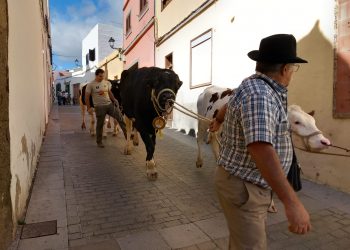 Una concurrida feria de ganado pone fin a los actos programados por las fiestas de San Sebastián