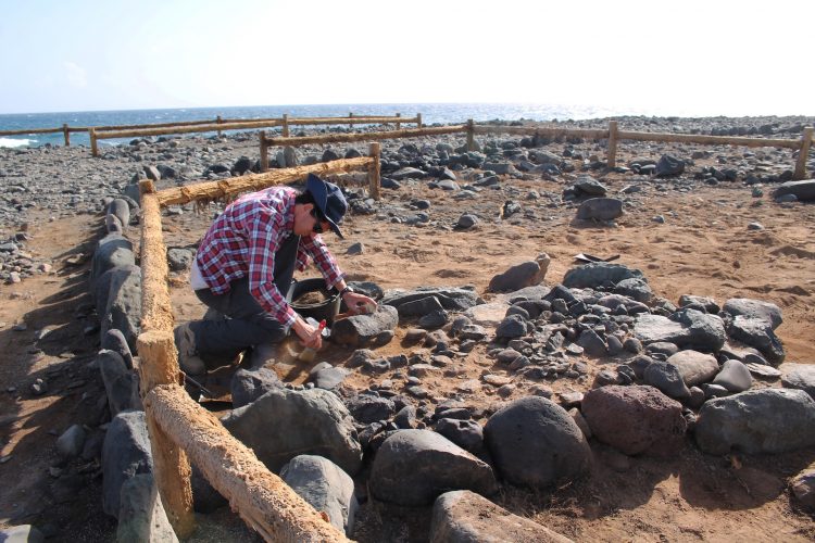 El Gobierno reactiva la investigación arqueológica en la necrópolis aborigen de Pozo Izquierdo