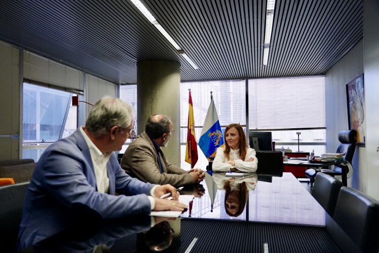 El alcalde de Santa Lucía de Tirajana se reúne con la consejera de Justicia para solicitar que se construya el Tribunal de Instancia en el municipio