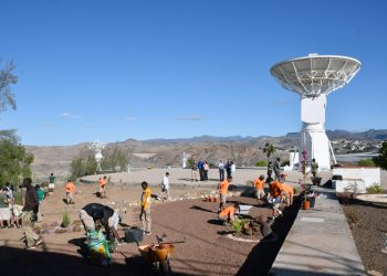 El jardín del Centro Aeroespacial de Maspalomas sigue creciendo