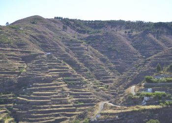 Gáldar invita a descubrir el paisaje y el celaje que se encuentra dentro del espacio del Paisaje cultural de Risco Caído y Montañas Sagradas de Gran Canaria en dos actividades únicas
