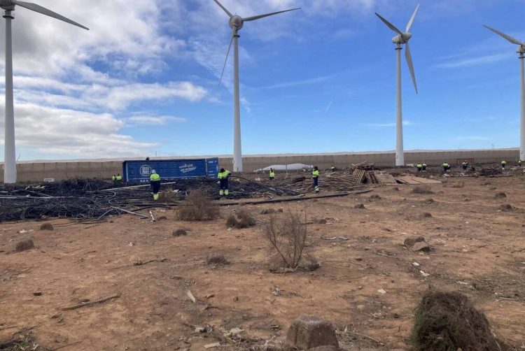 Abierto el plazo para participar en el Plan de Empleo de Adecentamiento y Mejora del Entorno Aeropuerto-Zona Sur Turística