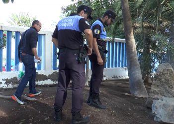 El Ayuntamiento de Mogán investiga y actúa ante el envenenamiento de perros en Arguineguín