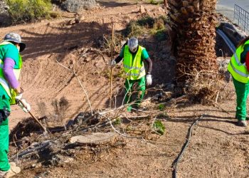Catorce personas de Agüimes se benefician de dos planes de empleo del Cabildo de Gran Canaria