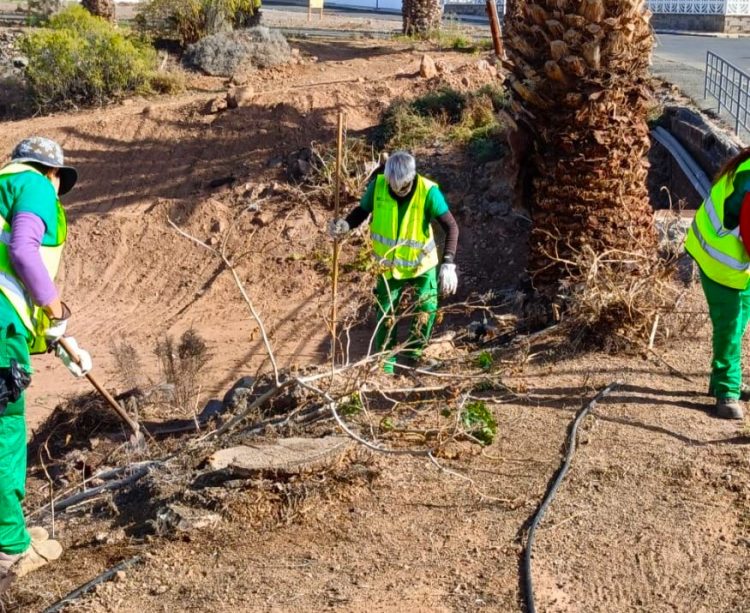Catorce personas de Agüimes se benefician de dos planes de empleo del Cabildo de Gran Canaria