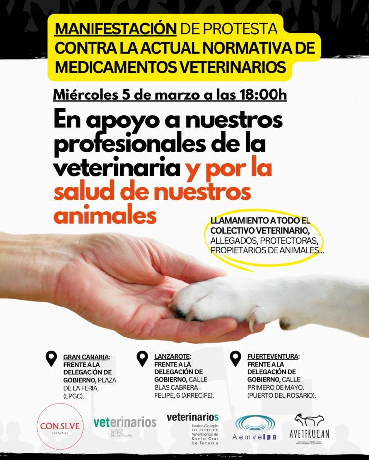 La profesión veterinaria se manifestará contra el decreto que retrasa tratamientos y prohíbe dispensar algunos antibióticos