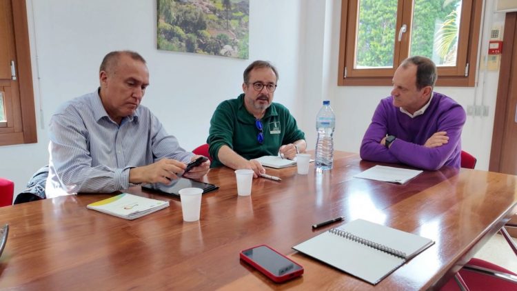 Agüimes tramita con el Cabildo un convenio para impulsar proyectos de energías renovables
