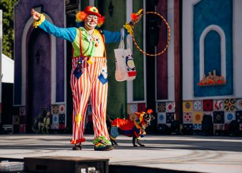 La perrita “Niña” vuelve a ganar el Carnaval Canino de Maspalomas ¡y se “jubila” con 9 años!