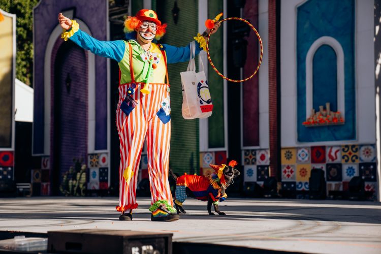 La perrita “Niña” vuelve a ganar el Carnaval Canino de Maspalomas ¡y se “jubila” con 9 años!