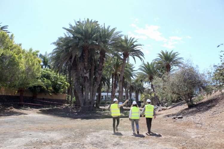 El Consorcio Maspalomas Gran Canaria supervisa los avances del proyecto Oasis Palmeral
