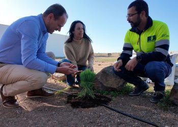 Agüimes usará 4.000 kilos de compost fabricado en Las Rosas para fertilizar sus parques y jardines 