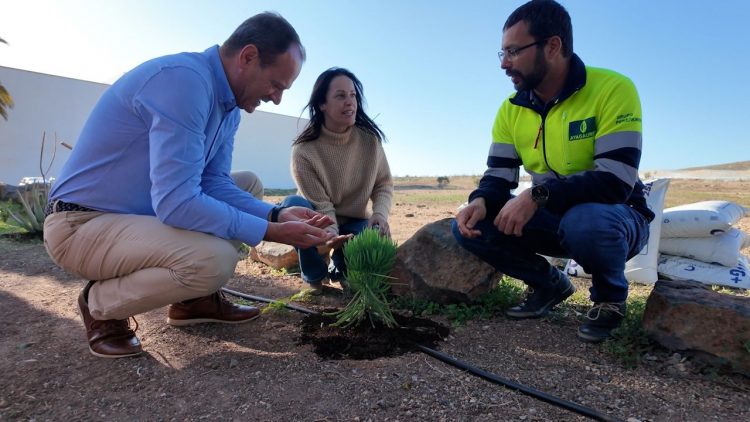 Agüimes usará 4.000 kilos de compost fabricado en Las Rosas para fertilizar sus parques y jardines