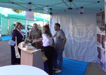 La Feria de las Profesiones del IES Ingenio abre caminos al futuro del alumnado