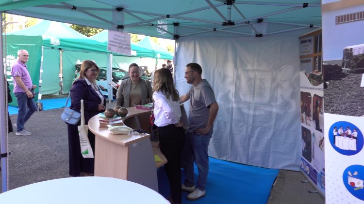 La Feria de las Profesiones del IES Ingenio abre caminos al futuro del alumnado