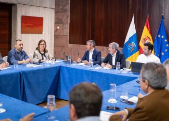 Las Organizaciones Profesionales Agrarias manifiestan al Gobierno de Canarias su respaldo al proyecto del plátano 