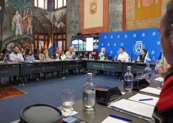 El Gobierno presenta el proyecto de reforma de la Ley de Patrimonio Cultural en el Consejo Autonómico