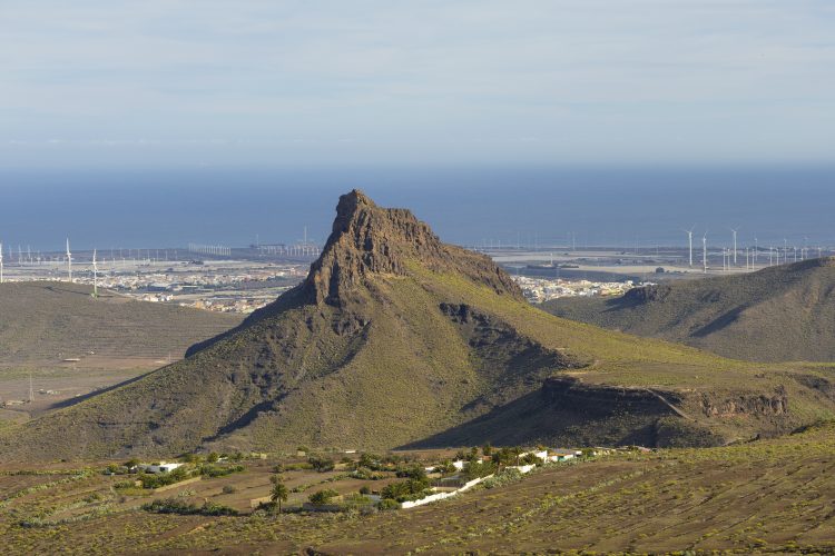 La mayor superficie agrícola ofertada en el banco de tierras de Gran Canaria se encuentra en Agüimes