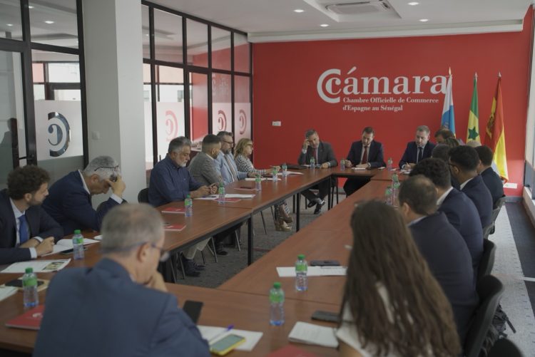 Las empresas canarias viajan a Senegal en busca de oportunidades en forma de licitaciones