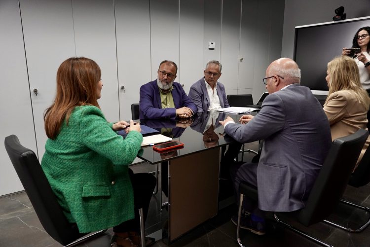 El alcalde reitera al Gobierno canario la necesidad de que se cree el Tribunal de Instancia en Santa Lucía de Tirajana