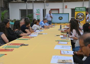 Fomentas presenta a las entidades colaboradoras del Plan Integral de Jinámar