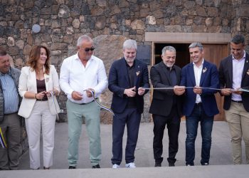 Clavijo anuncia la continuidad de la ayuda extraordinaria de dos millones que beneficia a más de 2.000 viticultores