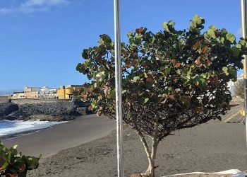 Telde mejora la seguridad en sus playas con la instalación de megafonía