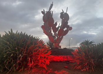 SBT pide prevenir la hemocromatosis