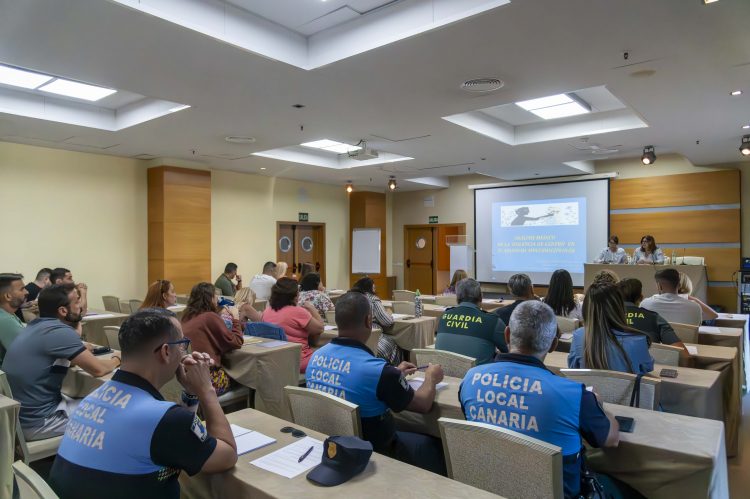 Mogán celebra unas jornadas sobre violencia de género para profesionales
