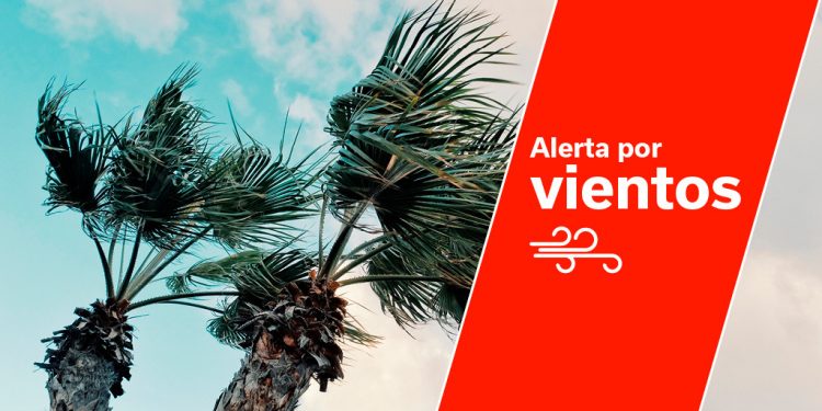 El Gobierno de Canarias declara la situación de alerta por vientos en La Gomera y Gran Canaria