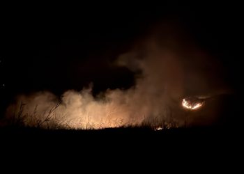 Estabilizado un incendio esta madrugada en Juncalillo