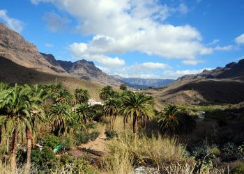 SBT llevará la red de agua potable al Rodeo Alto, Arteara y Ayagaures