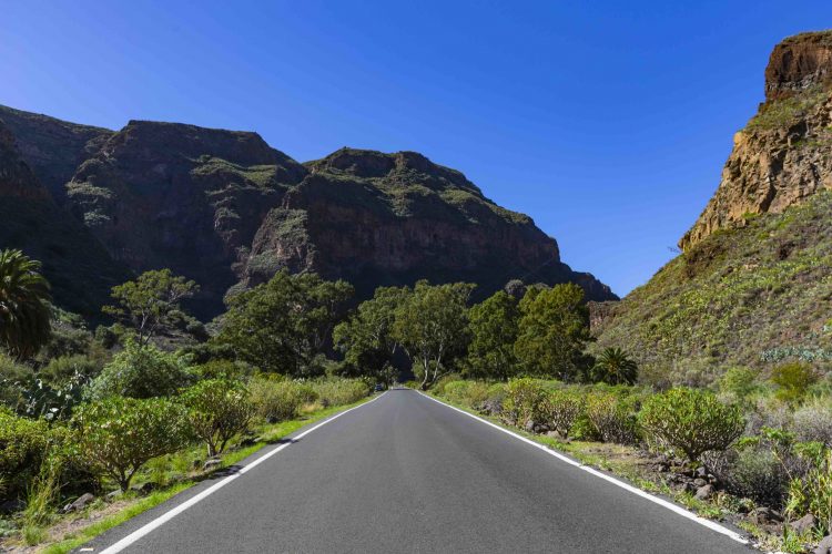 Guayadeque celebra sus fiestas del Beñesmén y en honor a San Bartolomé