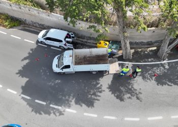 La Policía Local de Telde halla seis perros fallecidos en un contenedor de residuos