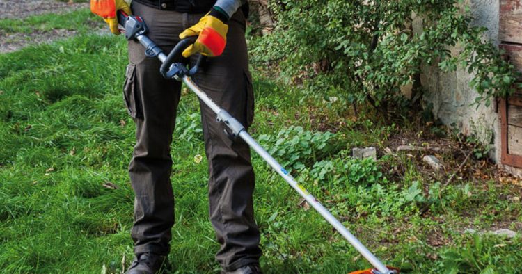 Mogán abre la solicitud de subvenciones para la adquisición de maquinaria agrícola