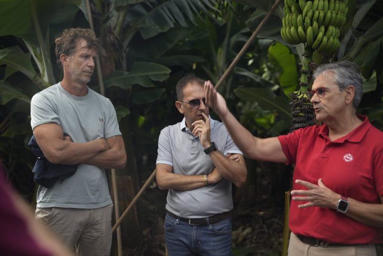 El Plátano de Canarias busca abrirse paso en el mercado italiano