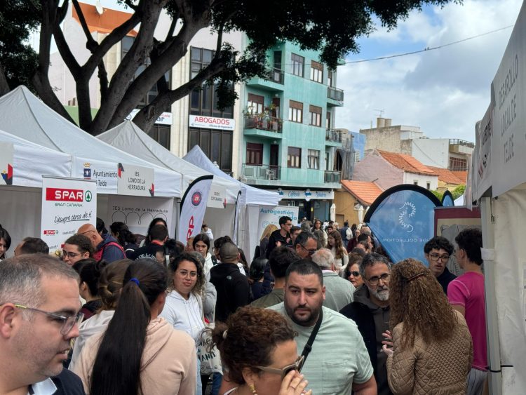 Telde impulsa la segunda temporada del proyecto ‘Servicio de Empleabilidad y Emprendimiento 2025’