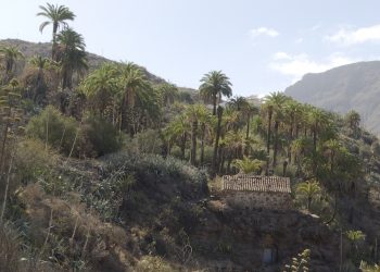 El incendio en el Ingenio de Santa Lucía se encuentra controlado y las personas desalojadas han regresado a sus casas