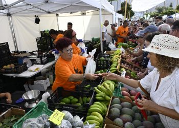 Éxito de participación en la VIII Feria del Mango y Aguacate de Verano de Mogán