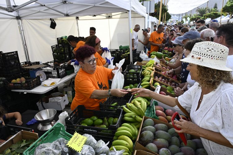 Éxito de participación en la VIII Feria del Mango y Aguacate de Verano de Mogán
