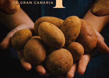 La papa protagoniza este fin de semana la actividad ferial de Teror