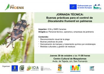 El proyecto LIFE Phoenix organiza una jornada de formación sobre buenas prácticas para el control de Diocalandra frumenti en palmeras