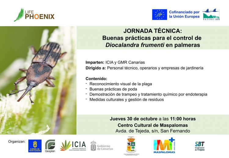 El proyecto LIFE Phoenix organiza una jornada de formación sobre buenas prácticas para el control de Diocalandra frumenti en palmeras