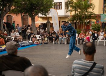 Unas 2.500 personas disfrutaron de la 38ª edición del Festival del Sur