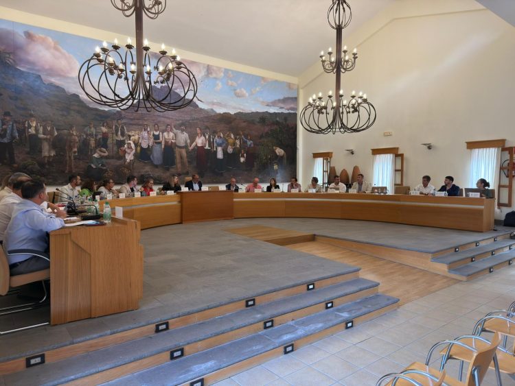 El pleno aprueba un reglamento para mejorar la respuesta de Protección Civil ante situaciones de emergencia