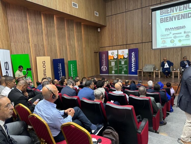 Canarias se posiciona en Mauritania como socio estratégico del desarrollo energético y marítimo