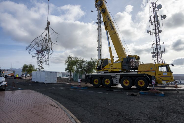 El Ayuntamiento acondiciona y retira maleza de una ladera inaccesible en Puerto Rico