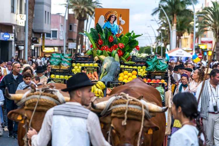 Comienza el plaza de inscripción de las carretas que quieran participar en la Romería de San Rafael
