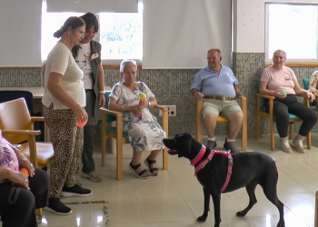 Mogán implementa terapias asistidas con perros en el Centro para la Autonomía Personal y Centro Ocupacional
