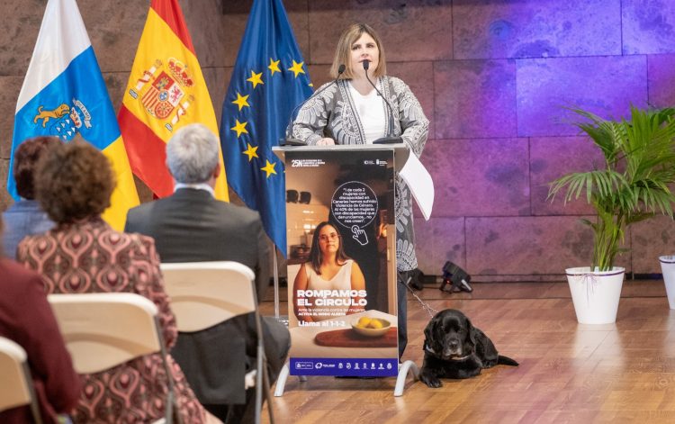 Gobierno y entidades apelan a la acción colectiva contra todas las violencias machistas que sufren las mujeres