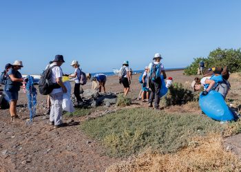 Limpieza lleva a Pleno el convenio con Fundación Foresta para crear un dispositivo especial de limpieza con 20 nuevas contrataciones